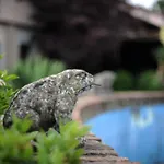 Hotel Villino Della Flanella 3*